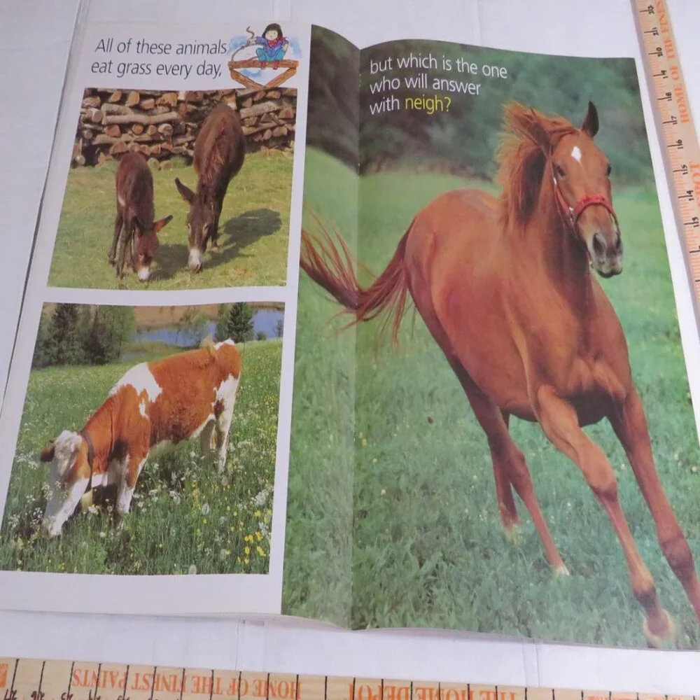 Sounds of the Farm BIG BOOK (almost 2 feet tall) with teacher pages Classroom